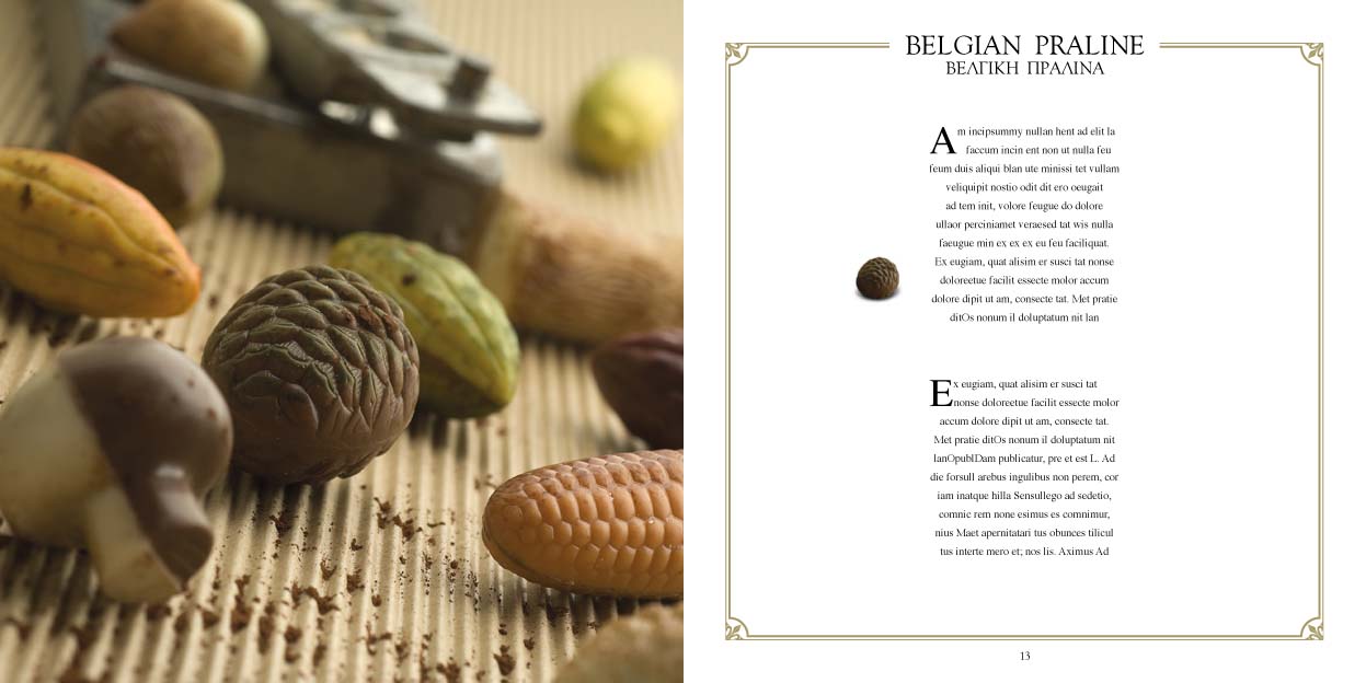 LeChocolat Brochure w 07